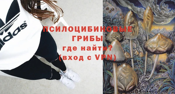 ПСИЛОЦИБИНОВЫЕ ГРИБЫ Осинники