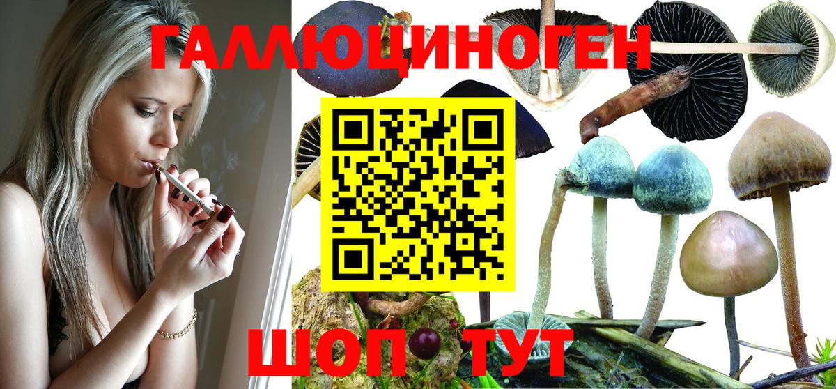 Псилоцибиновые грибы GOLDEN TEACHER  Псилоцибиновые грибы прущие грибы  Петрозаводск  Вход с VPN 