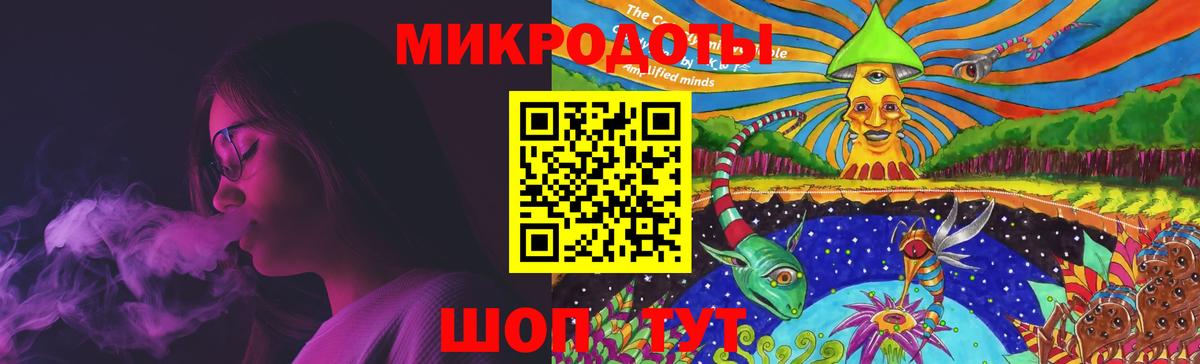 Галлюциногенные грибы Psilocybine cubensis Петрозаводск